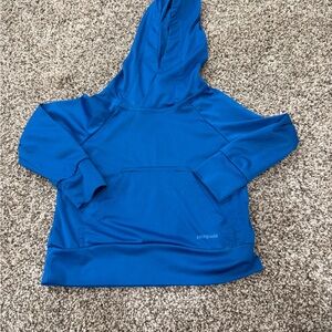 Patagonia Vibrant Blue Pullover Hoodie